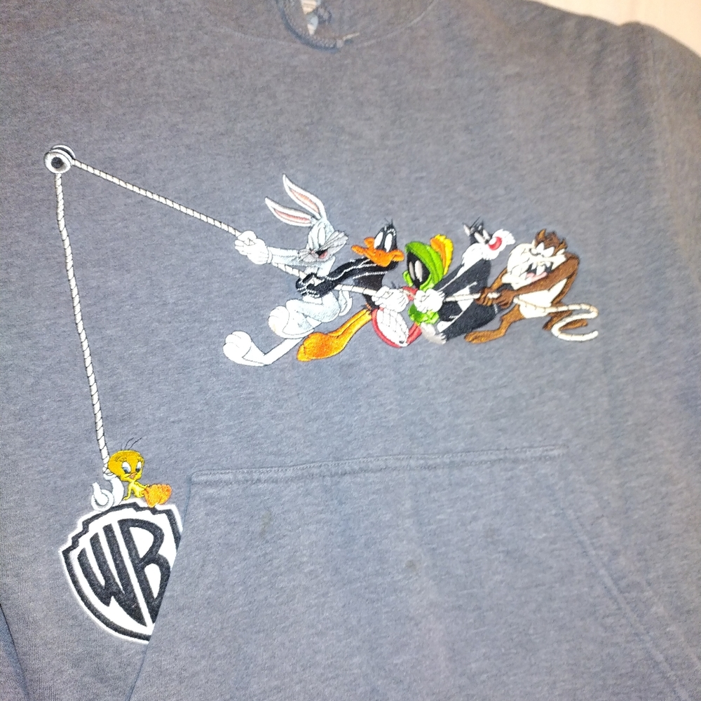 Vintage Looney Toons Warner Bros Pull Over Hoodie M Women 1999 - Picture 2 of 11